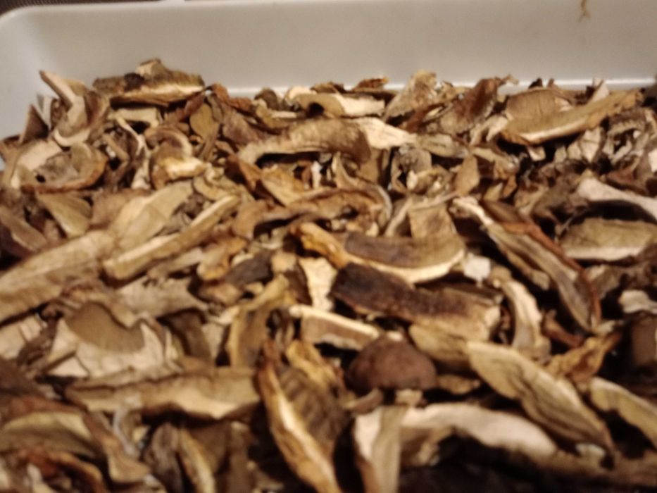 Grzyby suszone Borowiki Podgrzybki