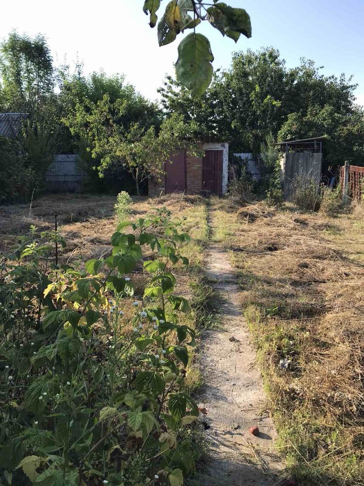 Продаж дачного будинку с. Рибаче