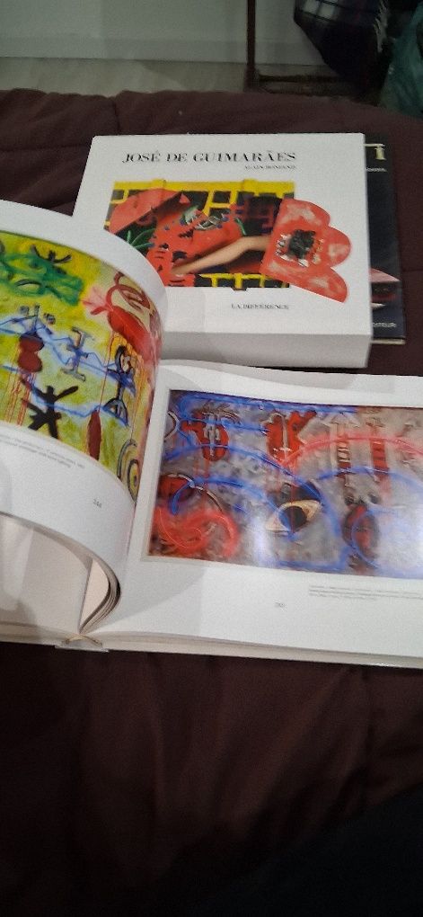 Livro jose de Guimarães