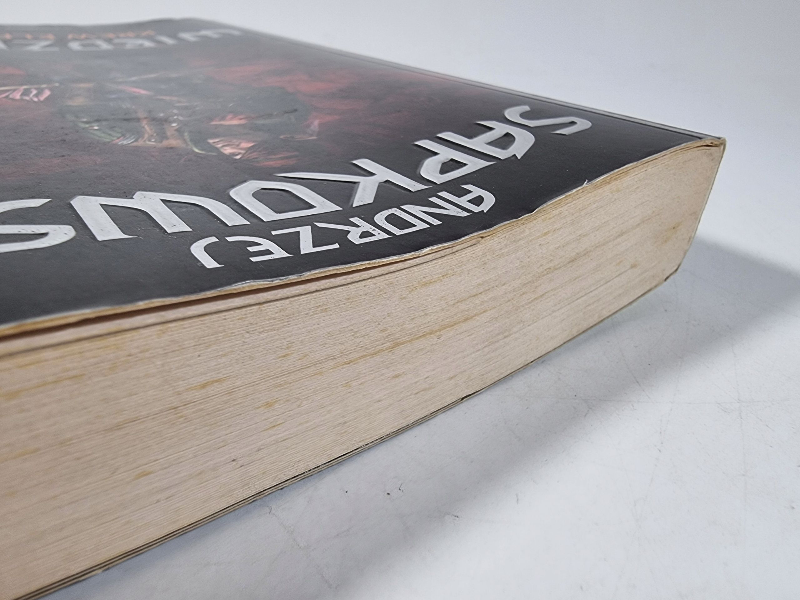 Krew Elfów / Wiedźmin / Gra / Andrzej Sapkowski