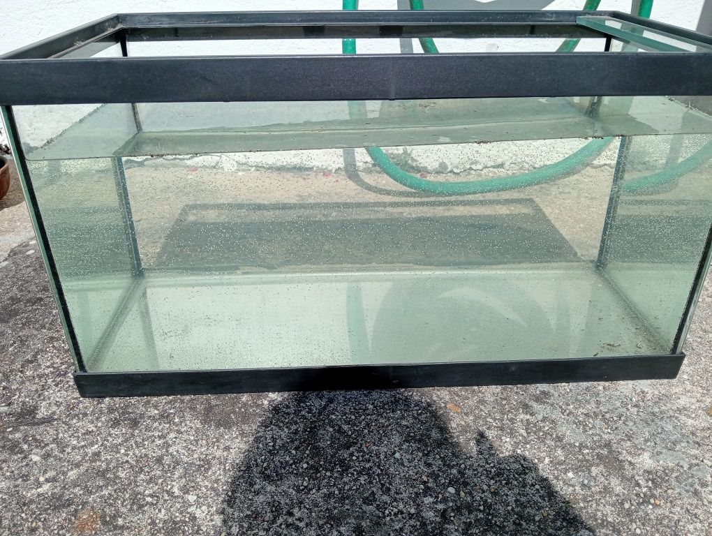 Aquário 60L com muitos acessórios