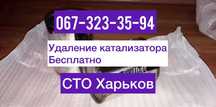 Удалить катализатор Прошивка Евро2 Даунпайп Сажевик Ремонт выхлопа