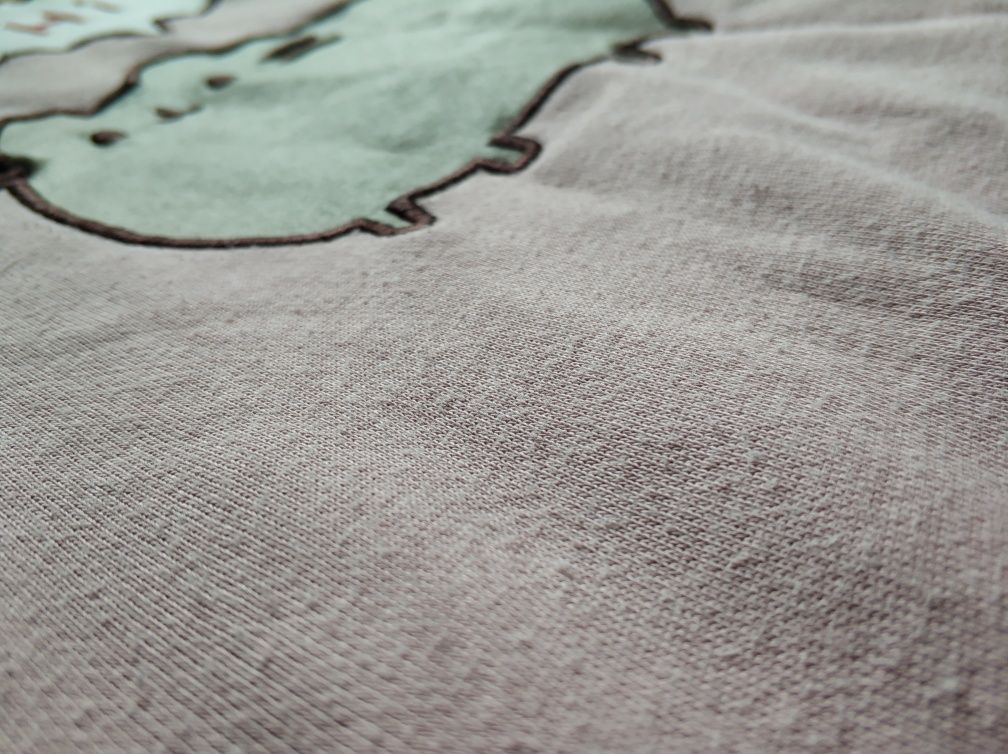 Pusheen różowa bluza z kapturem hoodie bez kieszeni kot kotek