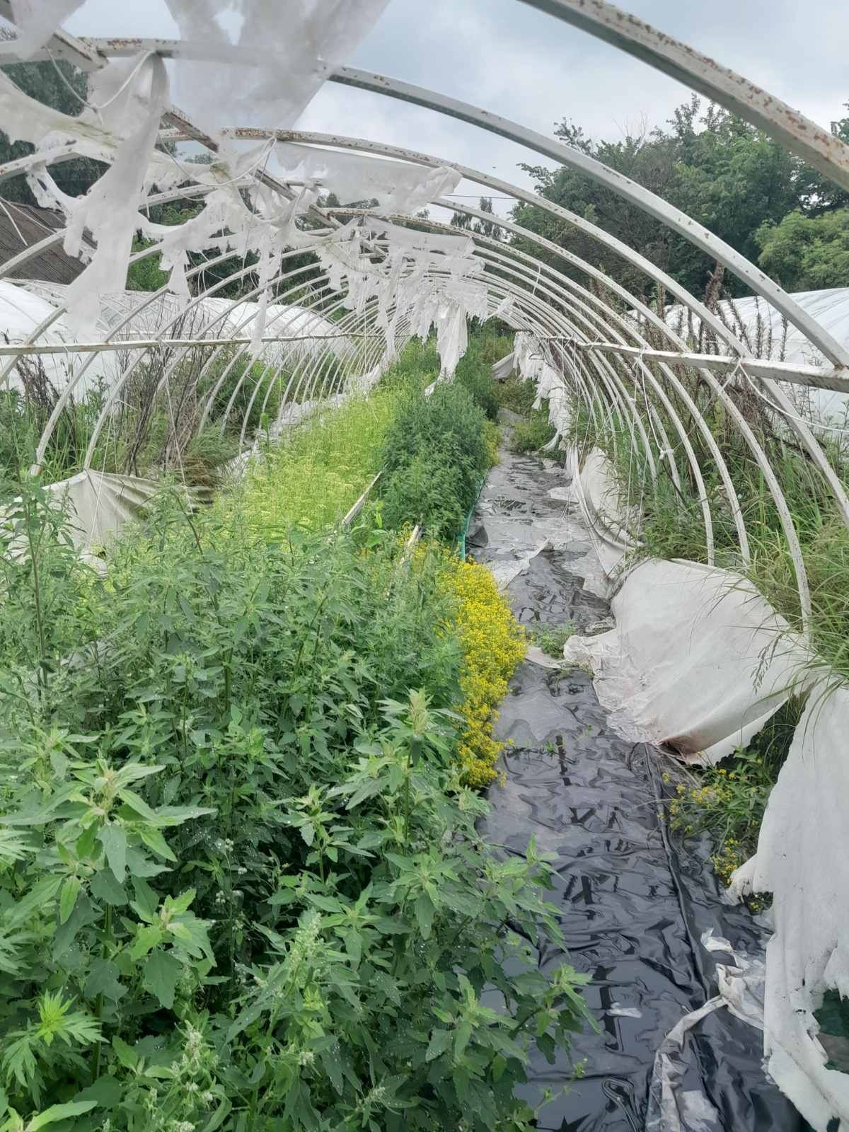 Продам металевий каркас теплиці