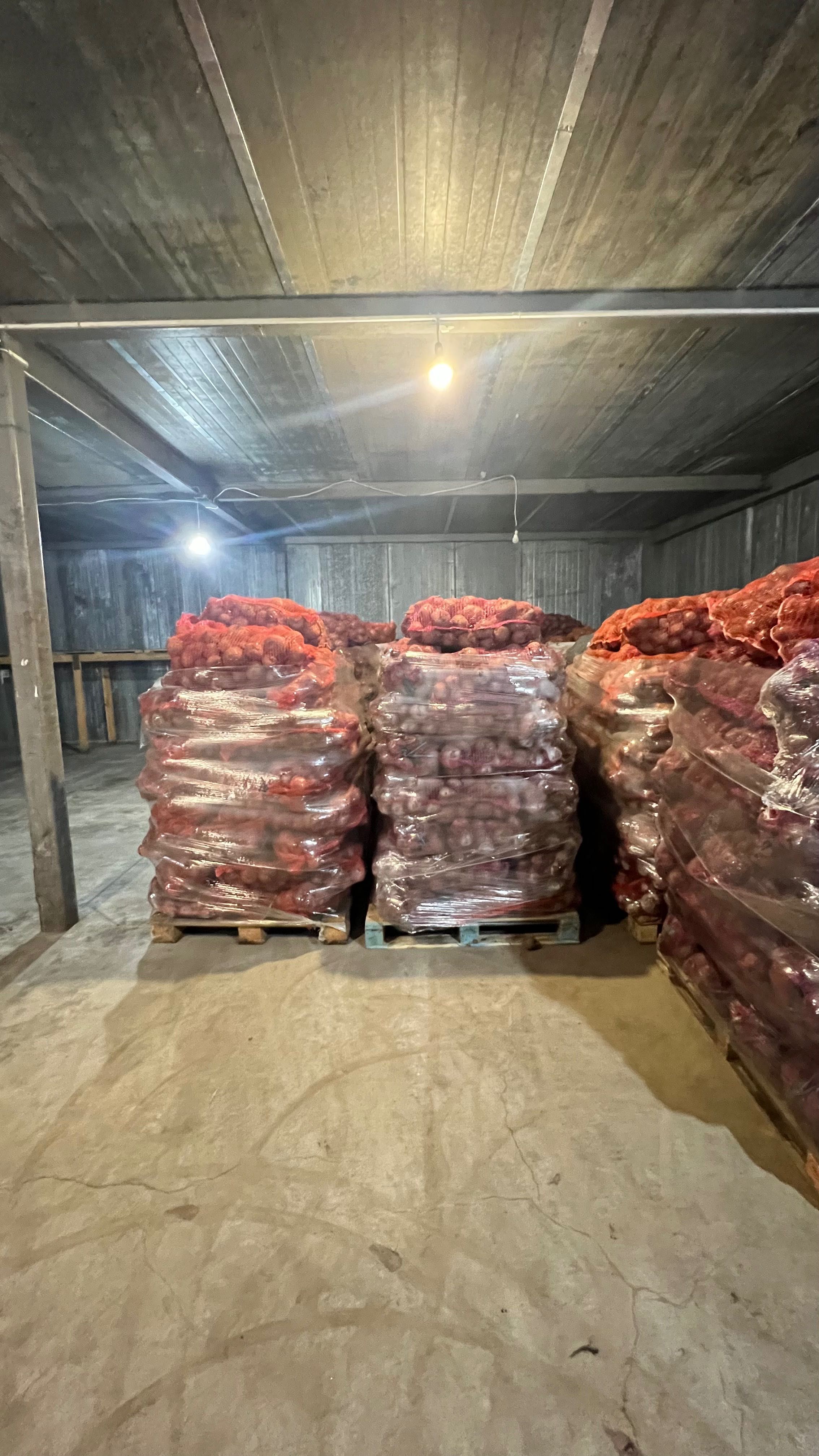 Послуги спеціалізованого овочесховища, зберігання, реалізація овочів