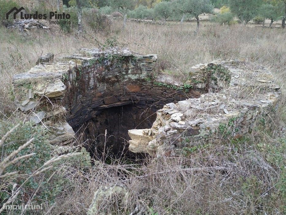 Quinta perto de Castelo Branco