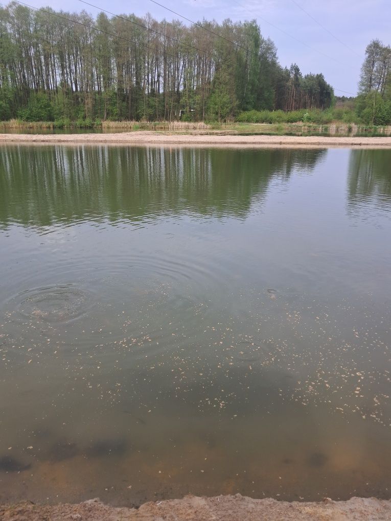 Sprzedam działkę w Nekielce