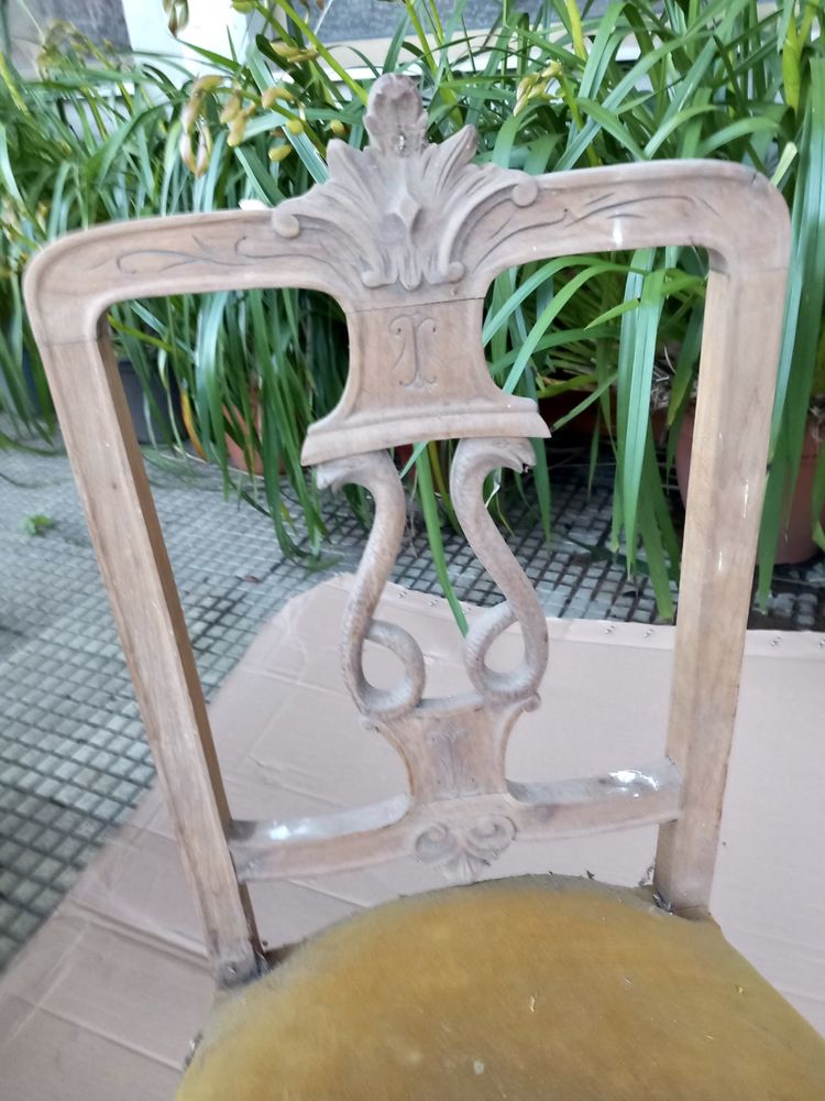 Cadeiras antigas em madeira exótica