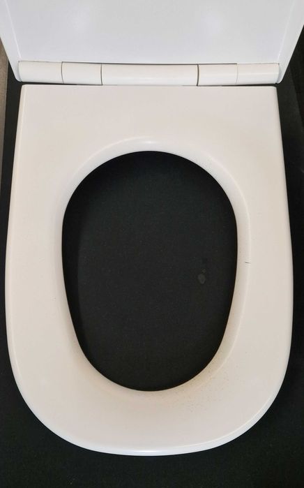 Tampa Sanita Roca DAMA