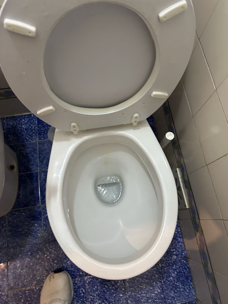 Eletricista e Canalizador.