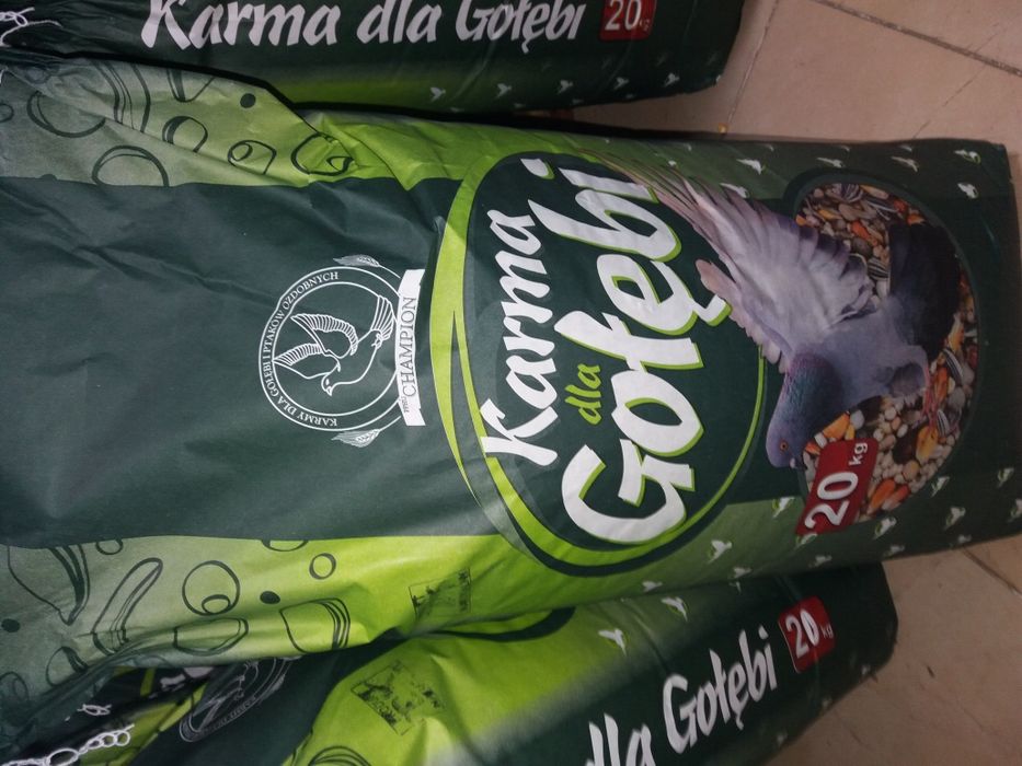 Karma dla gołębi . Wołomin