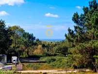 Lote de Terreno  Venda em Pinheiro da Bemposta, Travanca e Palmaz,Oliv