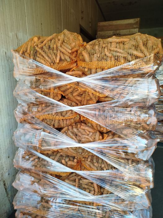 Sprzedam odpady marchwi