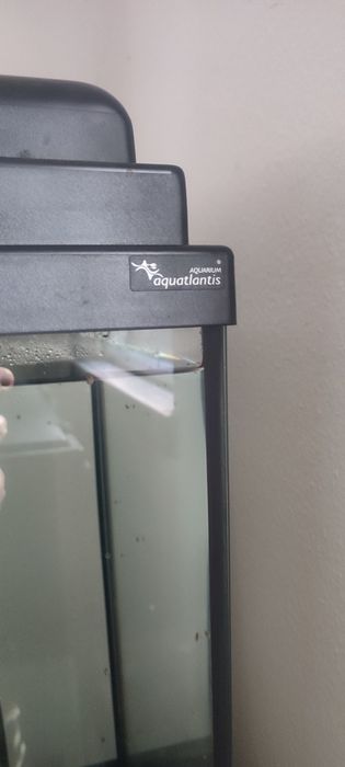 Aquário 80 L aquatlantis e móvel