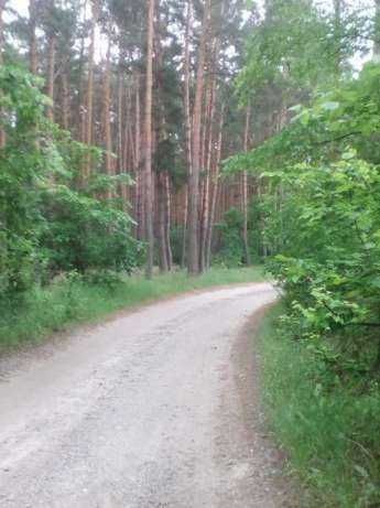 Ну зовсім бюджетний варіант дачі    Ліс- ззаді , річка-спереді