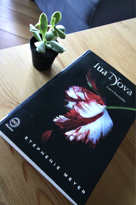 Livro "Lua Nova" - Stephenie Meyer