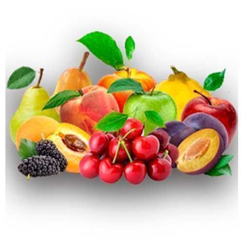 Саджанці плодових дерев/Саженцы плодовых деревьев