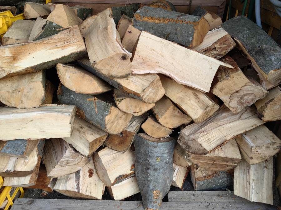 Drewno kominkowe i opałowe : Buk