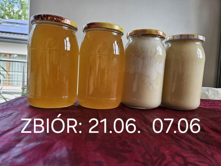 ZBIÓR 21 CZERWCA!!! Miód Wielokwiatowy z Żuław lub rzepakow z 7 czerwc
