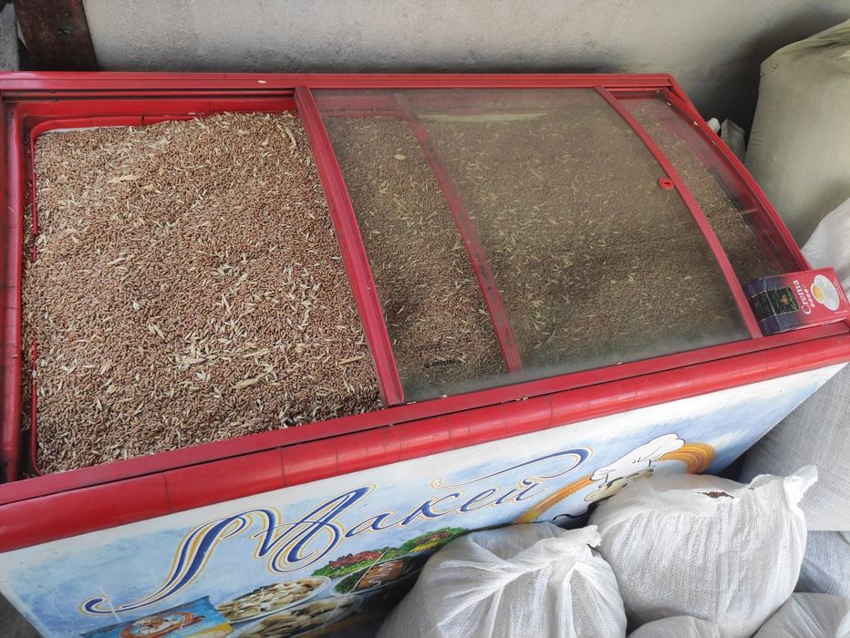 Яйце куряче,  домашнє, свіже.