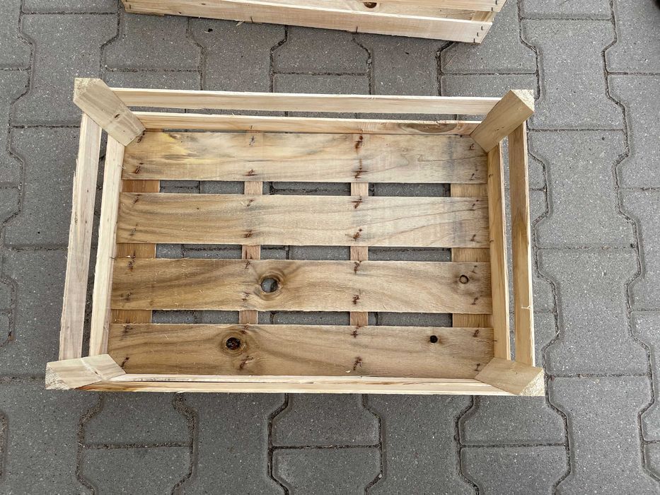 skrzynka, łuszczka-łuszczki na por, kalafior, sałata, rzodkiewka,