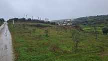 Terreno com projecto aprovado com 2200m² em trás os montes