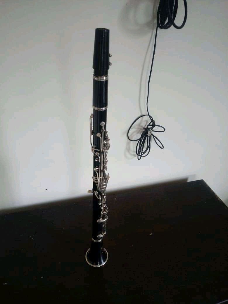 Clarinete bundy musical