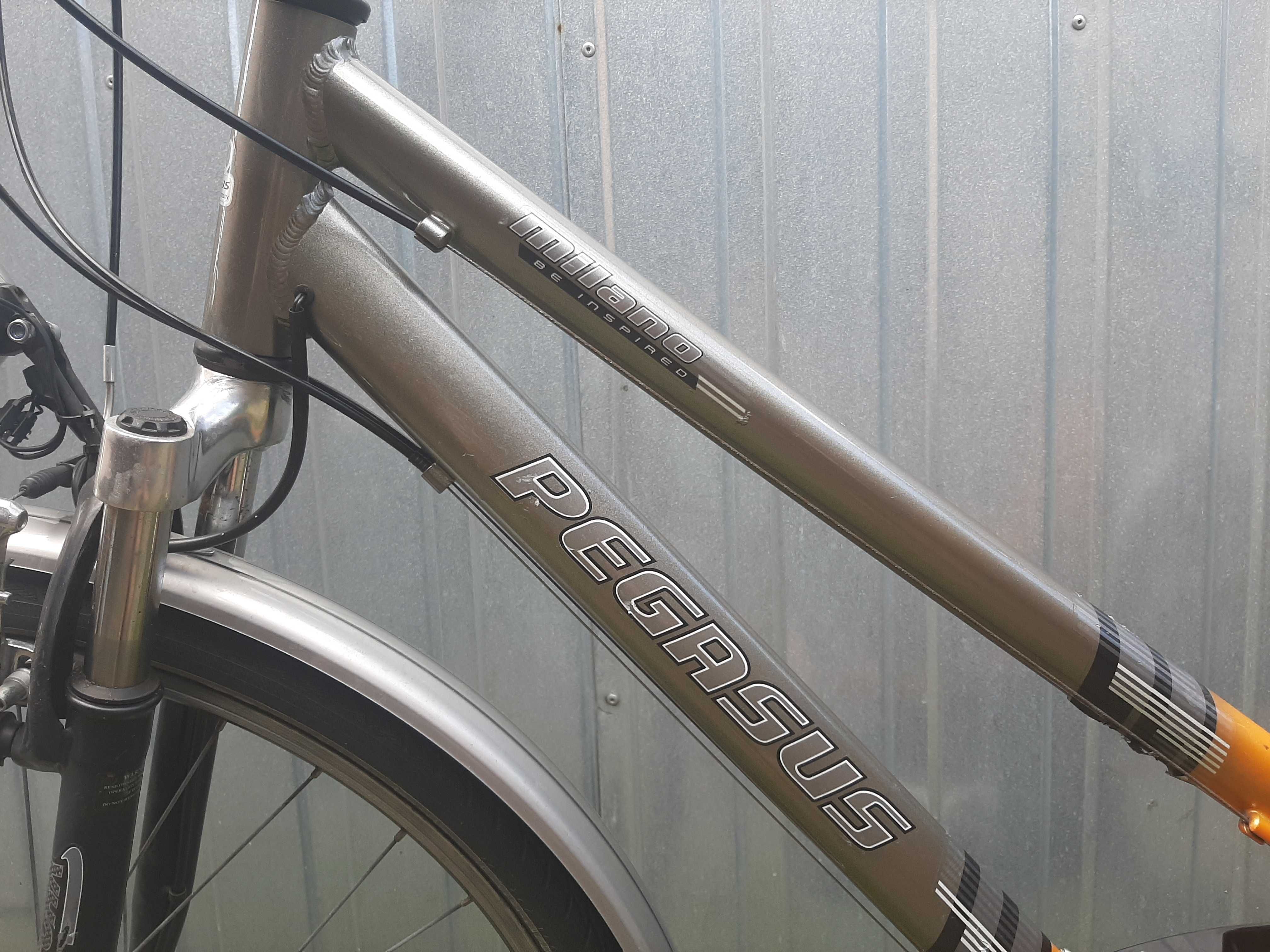 Rower Pegasus damka 28 cali