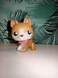 LPS Owczarek niemiecki #112 Hasbro