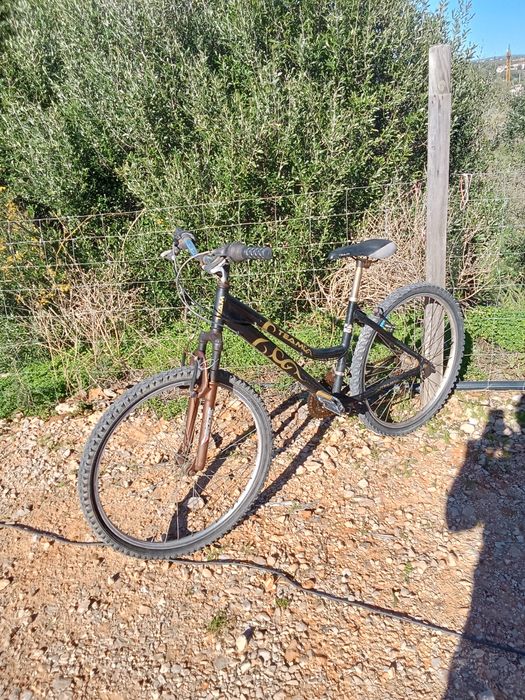 Bicicleta de passeio