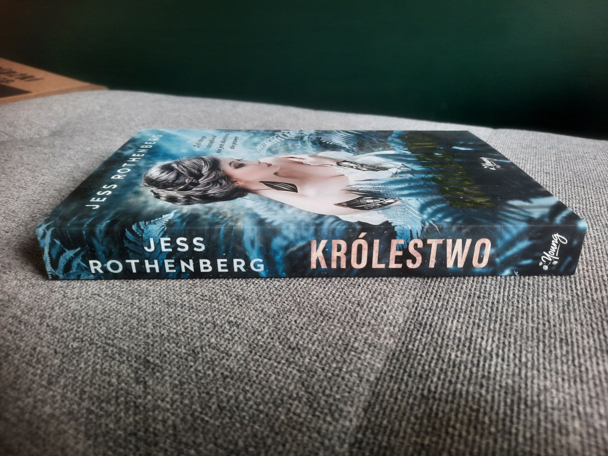 Książka "Królestwo" Jess Rothenberg