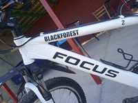 Велосипед FOCUS blackforest