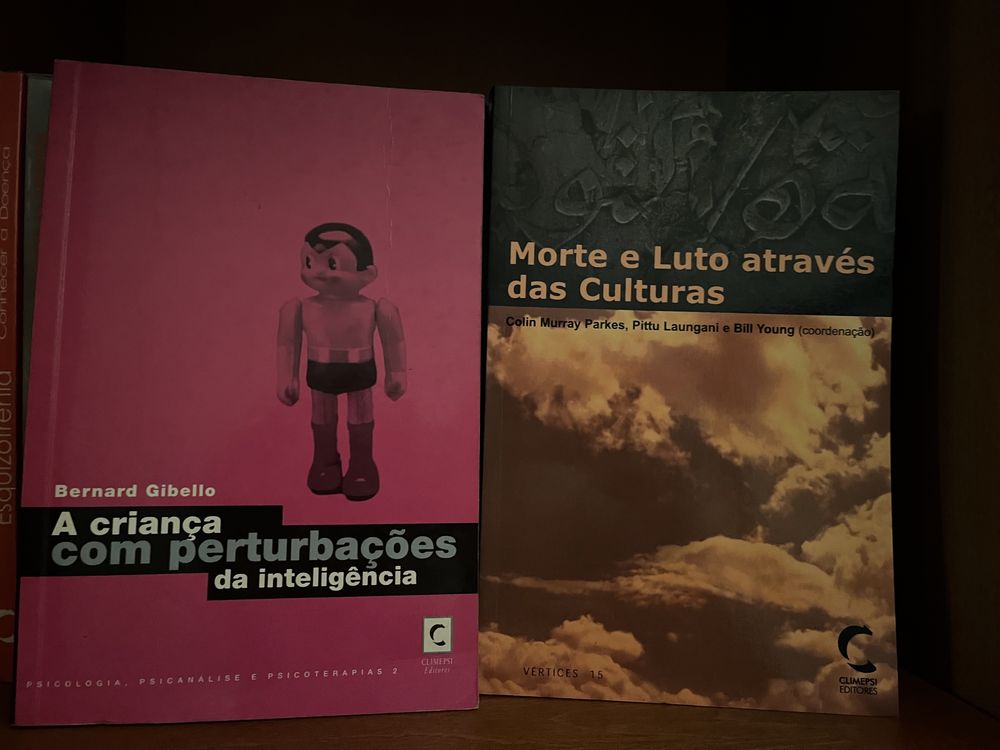 Livros técnicos Psicologia-vários temas-Climepsi