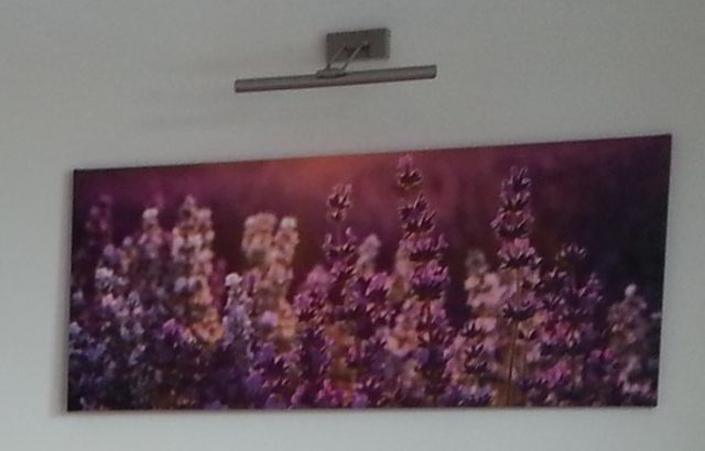 Obraz na płótnie LAWENDA 120 x 50 cm