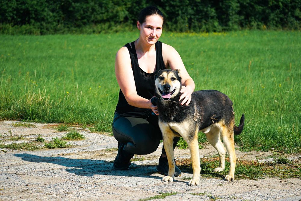 MIMEK - świetny psiak szuka domu