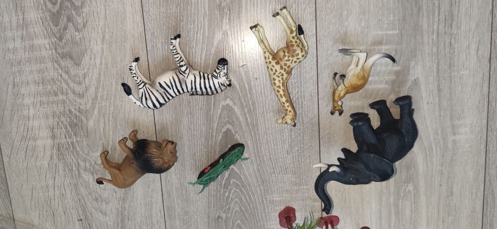 Zwierzęta dzikie Safari figurki