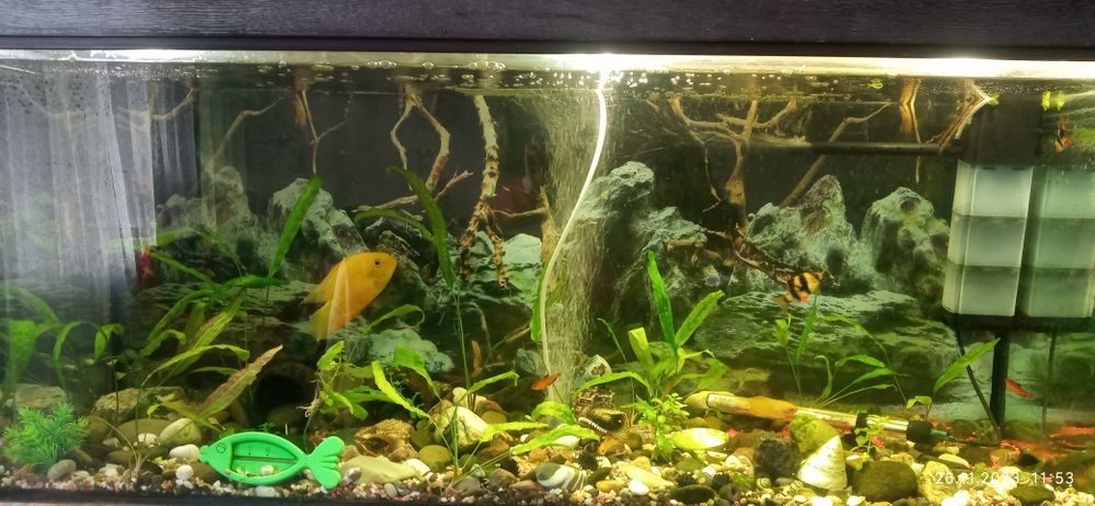 Продам авкааріум