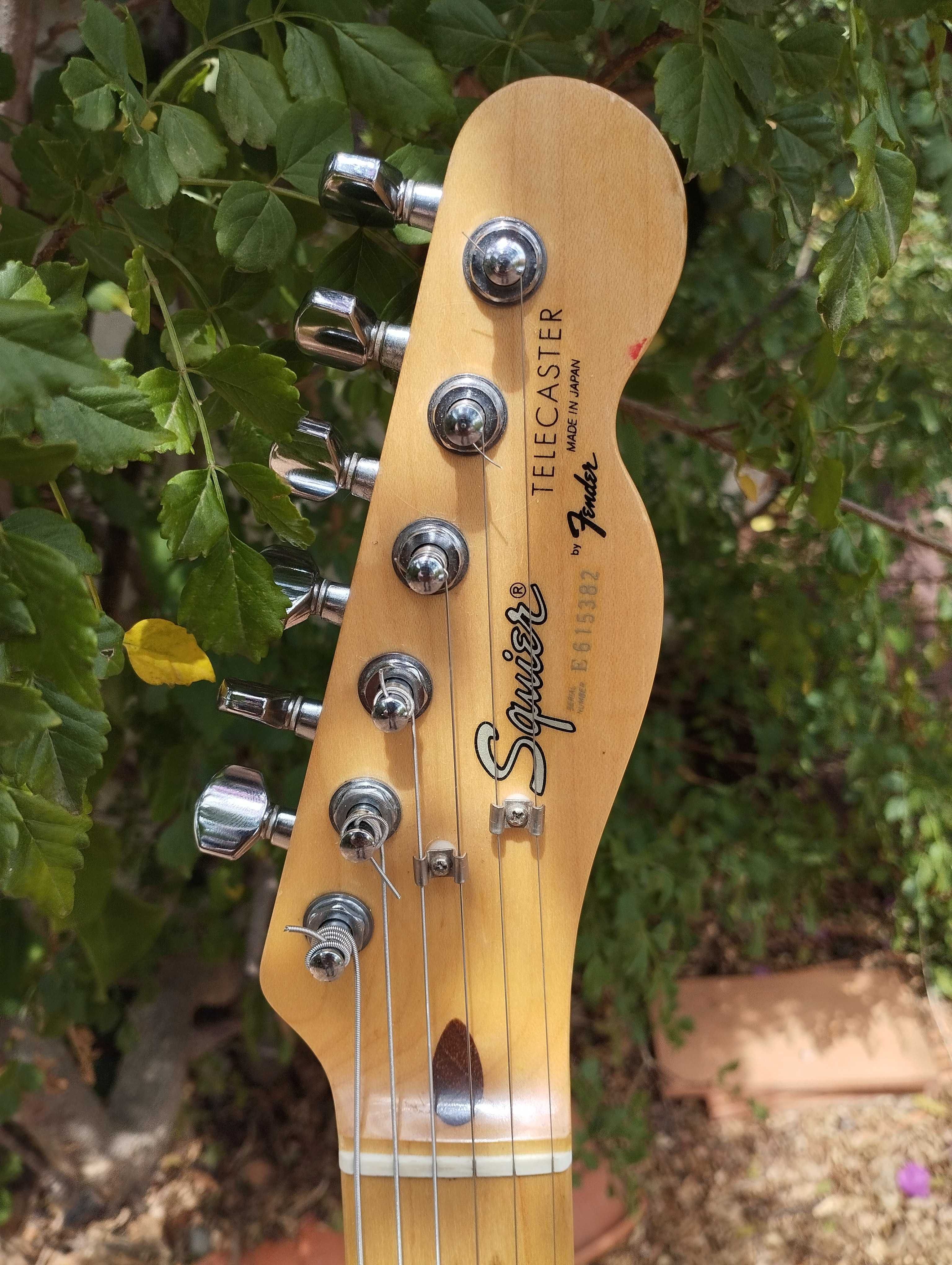 FENDER & SQUIER Telecaster Electric Guitars / Guitarras