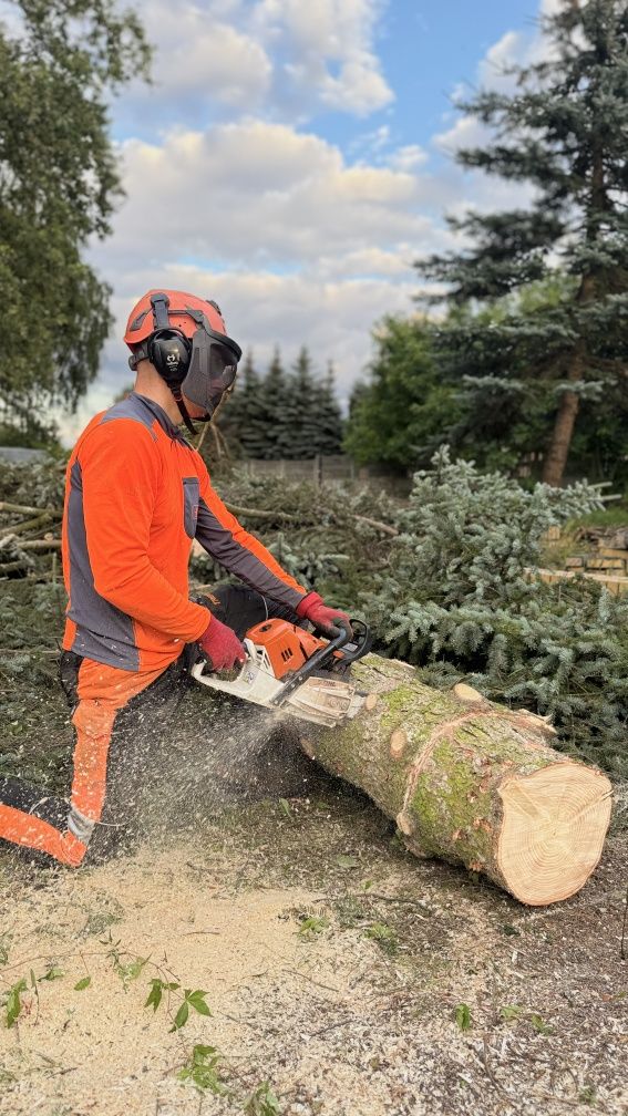 Wycinka Drzew Pielęgnacja Przycinka Drzew Arborysta Pabianice