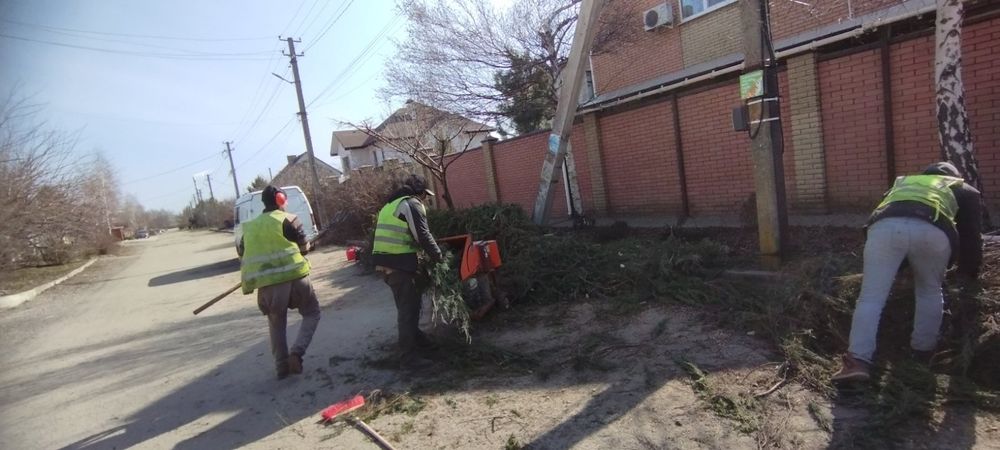 Уборка участка,спил деревьев,дробление веток,корчевка, вувоз веток
