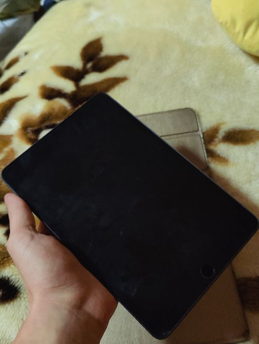 Ipad mini 5 256gb