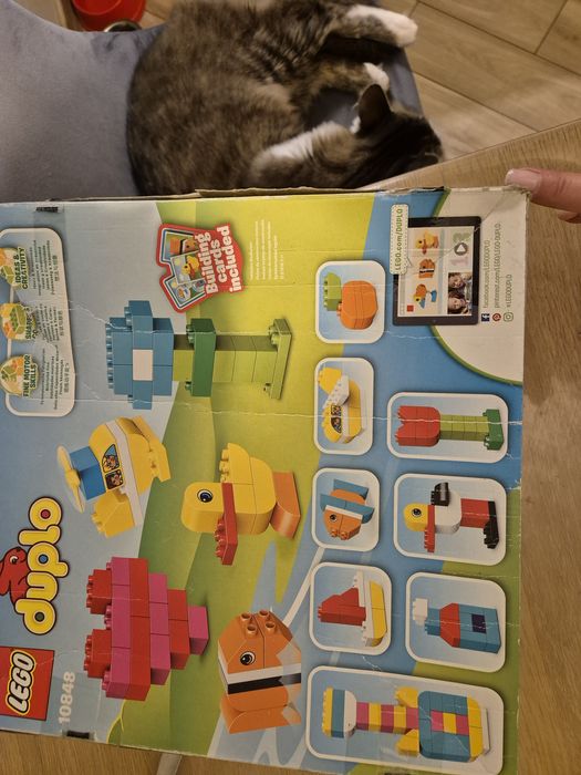 Lego duplo 80 деталей.