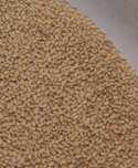 seradela, lucerna, koniczyna, facelia, rzodkiew, gorczyca, proso sorgo