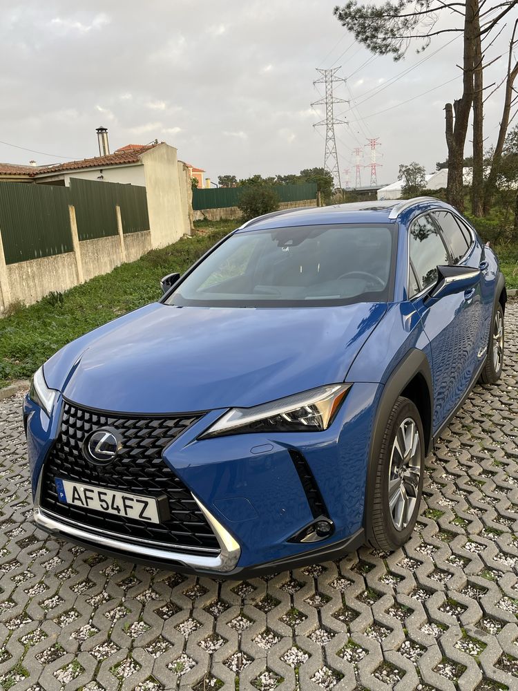 Lexus ux300e luxury