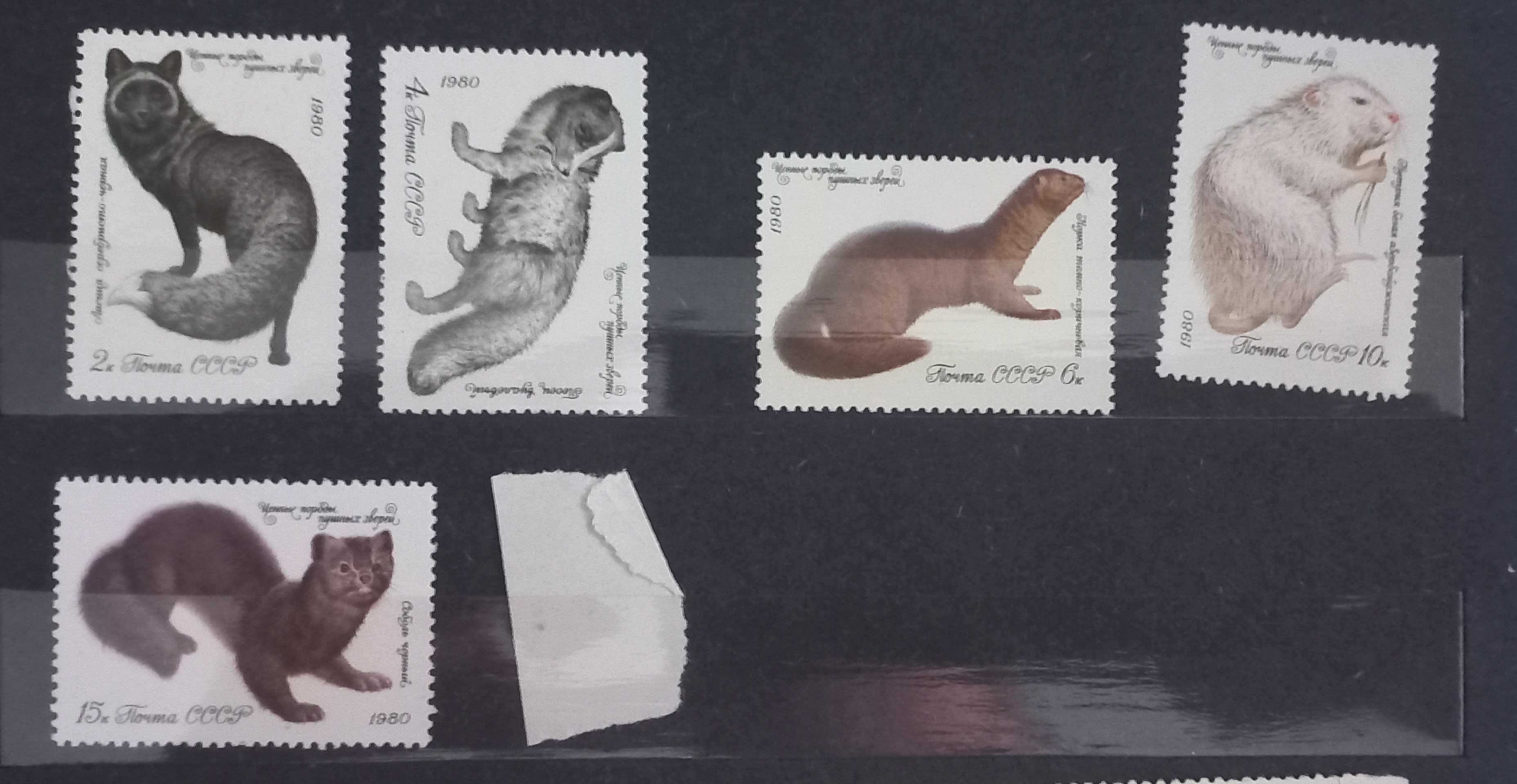 Znaczki pocztowe - Zwierzęta - zestaw