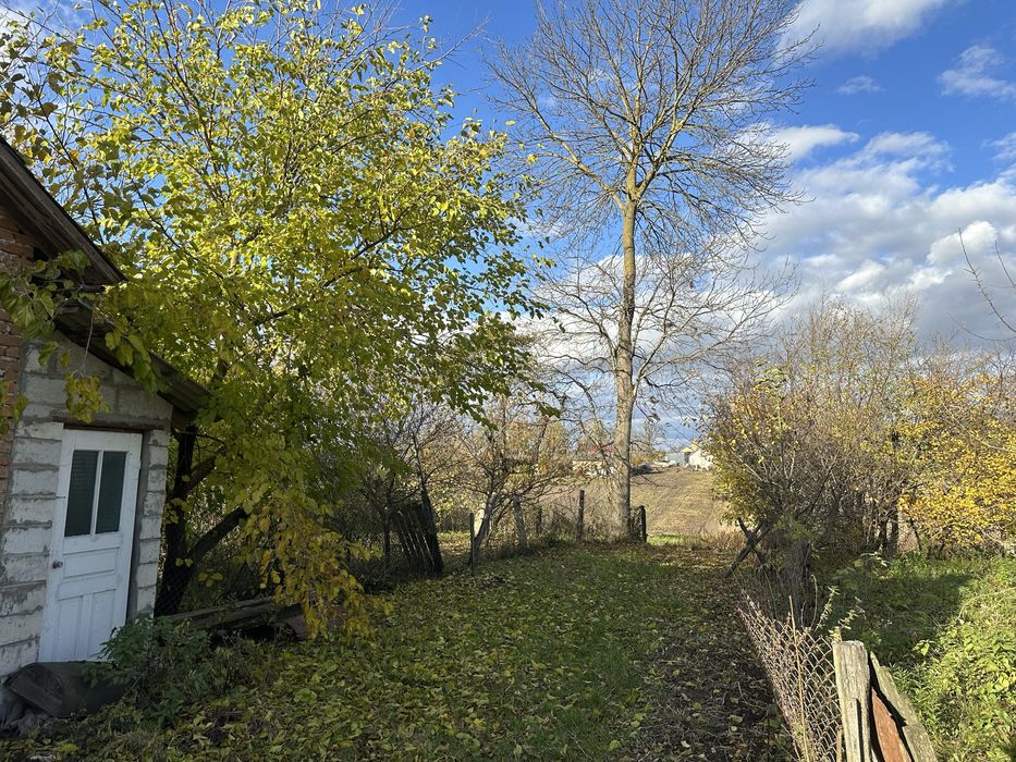 Продається будинок в с. Розношинці (біля м. Збараж) продаж земельна