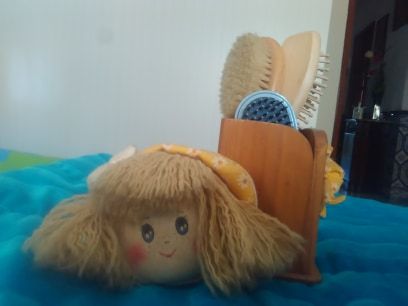 estojo de escovas do cabelo