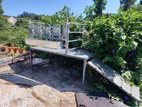 Amarre de ordenha com plataforma para cabras e ovelhas