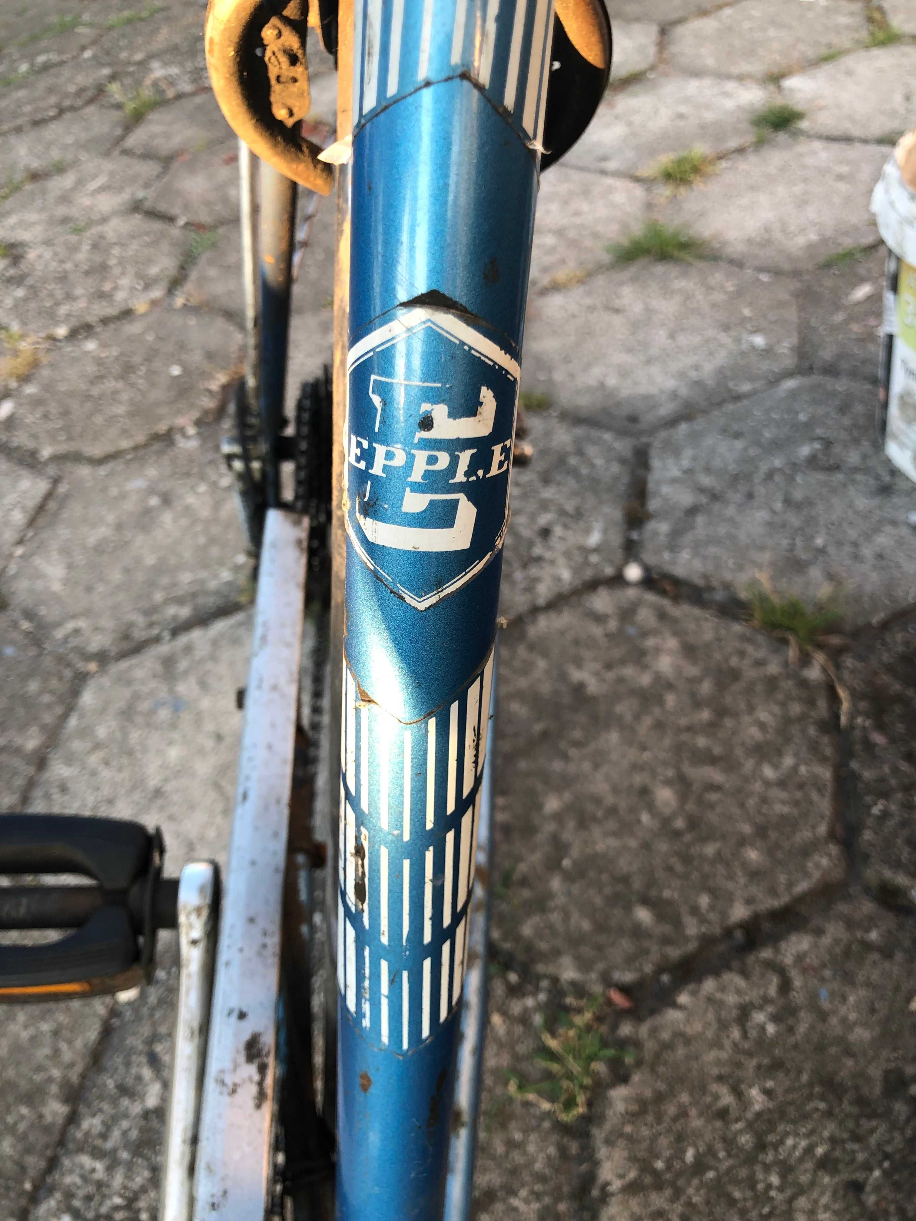 Rower firmy EPPLE