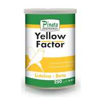 Corante amarelo 50gr Yellow factor pineta